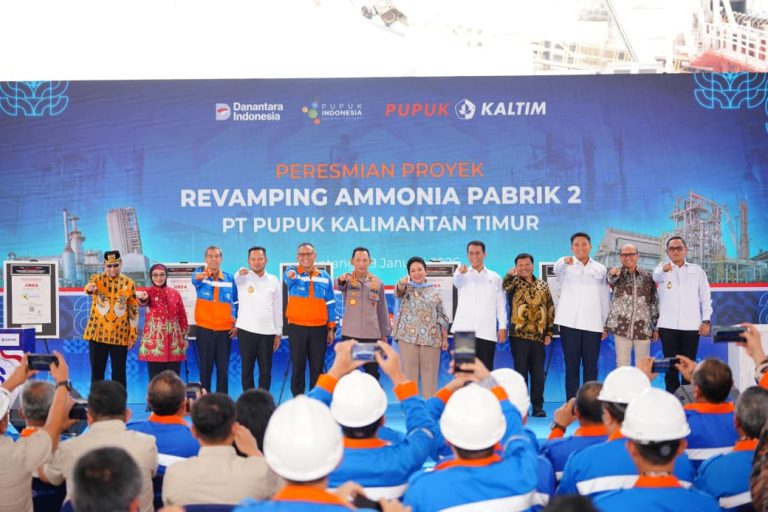 WhatsApp Image 2026-01-29 at 12.30.09